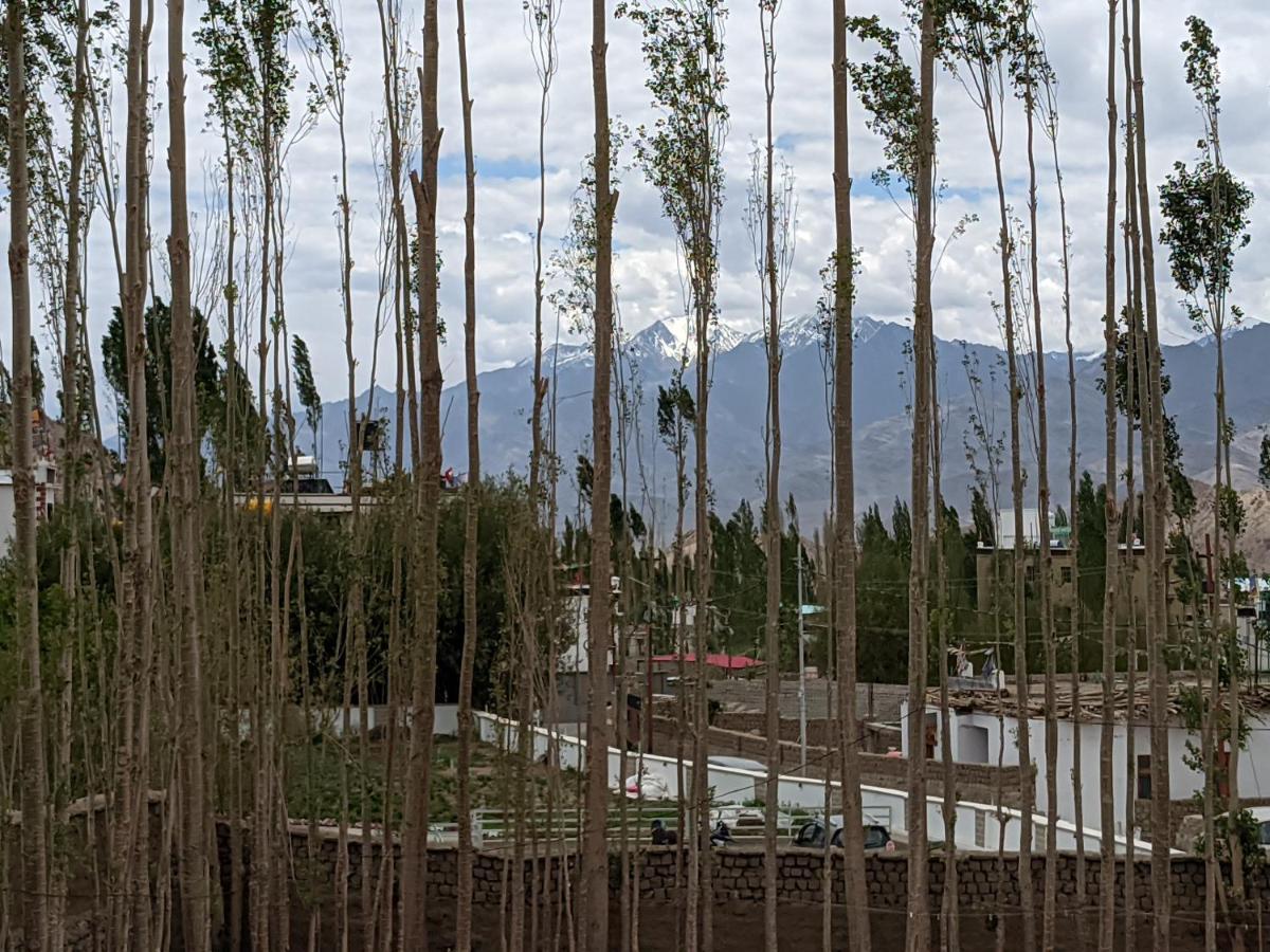 Chandan Guest House Leh Exterior foto